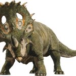 Sinoceratops