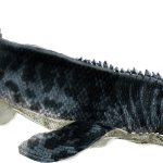 Tylosaurus (JPTG Design)