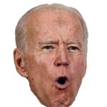 Biden head