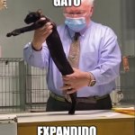 Gato Expandido