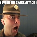 :O | ANGRY COPS WHEN THE SHARK ATTACK IS REPLACED | image tagged in angry cops meme review feb 1 2022,military | made w/ Imgflip meme maker