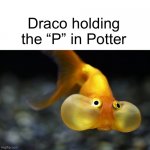*takes deep breath and holds it in* PPPotter | Draco holding the “P” in Potter | image tagged in hold your breath goldfish | made w/ Imgflip meme maker