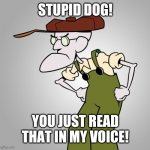 ;) | STUPID DOG! YOU JUST READ THAT IN MY VOICE! | image tagged in stupid dog,eustace,eustace bagge,courage,courage the cowardly dog,childhood | made w/ Imgflip meme maker