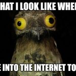 Careful what you search for | WHAT I LOOK LIKE WHEN I DELVE INTO THE INTERNET TOO FAR | image tagged in memes,weird stuff i do potoo,rule 34,google search,google images,my eyes | made w/ Imgflip meme maker