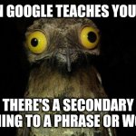 Careful with that search engine | WHEN GOOGLE TEACHES YOU THAT THERE'S A SECONDARY MEANING TO A PHRASE OR WORD.. | image tagged in memes,weird stuff i do potoo,internet,rule 34,google search,google images | made w/ Imgflip meme maker