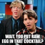 Egg white sours -- OMG! | WAIT, YOU PUT RAW EGG IN THAT COCKTAIL? | image tagged in weird science my face when,cocktails,bartender,eggs | made w/ Imgflip meme maker
