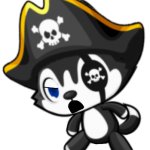Pirate husky dog 4 meme