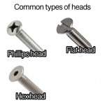 Types of heads