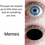 Did you know? | Memes | image tagged in did you know | made w/ Imgflip meme maker