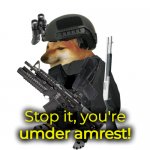 You're Under Arrest meme