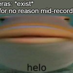 thej | Cameras: *exist*
Cats for no reason mid-recording: | image tagged in helo | made w/ Imgflip meme maker