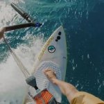 Free surfing Tiger GIF Template