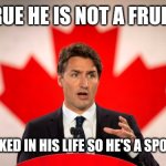 Justin Trudeau | IT'S TRUE HE IS NOT A FRUITCAKE; NVR WORKED IN HIS LIFE SO HE'S A SPONGE CAKE | image tagged in justin trudeau | made w/ Imgflip meme maker