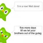duo gets mad | five more days till we let your brothers out of the gulag | image tagged in duo gets mad,duolingo,duolingo 5 in a row | made w/ Imgflip meme maker