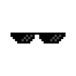 Deal With It Sunglasses Front