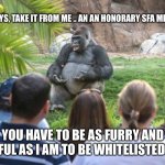 Whitelisted Super Fat Ape | SO GUYS, TAKE IT FROM ME .. AN AN HONORARY SFA MEMBER; YOU HAVE TO BE AS FURRY AND BEAUTIFUL AS I AM TO BE WHITELISTED OKAY … | image tagged in ted talk gorilla | made w/ Imgflip meme maker