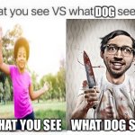 What you see vs what she sees | DOG; WHAT YOU SEE    WHAT DOG SEES | image tagged in memes | made w/ Imgflip meme maker