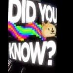 Did you know ? ( doge )