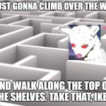 When you can't find the exit at IKEA | I'M JUST GONNA CLIMB OVER THE WALLS; AND WALK ALONG THE TOP OF THE SHELVES. TAKE THAT, IKEA | image tagged in rat maze | made w/ Imgflip meme maker