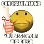 passed the vibe check meme