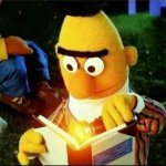 Bert book meme