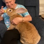 Grandma feeding her Rabbit