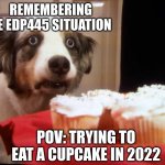 Cupcake dog | REMEMBERING THE EDP445 SITUATION; POV: TRYING TO EAT A CUPCAKE IN 2022 | image tagged in cupcake dog | made w/ Imgflip meme maker