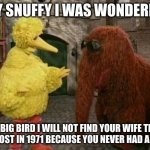 Big bird needs help | HEY SNUFFY I WAS WONDERING; NO BIG BIRD I WILL NOT FIND YOUR WIFE THAT YOU LOST IN 1971 BECAUSE YOU NEVER HAD A WIFE | image tagged in memes,big bird and snuffy | made w/ Imgflip meme maker