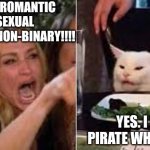 Meanwhile, In Reality... | I'M A PANROMANTIC ACE SEXUAL DEMI-QUEER NON-BINARY!!!! YES. I WAS A PIRATE WHEN I WAS 6. | image tagged in pronouns,first world problems,ridiculous | made w/ Imgflip meme maker