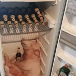 Pig in fridge template