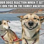 Doggy Vaycay | YOUR DOGS REACTION WHEN IT GETS TO JOIN YOU ON THE FAMILY VACATION | image tagged in memes,original stoner dog | made w/ Imgflip meme maker