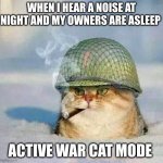 Cats mean business | WHEN I HEAR A NOISE AT NIGHT AND MY OWNERS ARE ASLEEP ACTIVE WAR CAT MODE | image tagged in war cat,lol | made w/ Imgflip meme maker