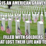 People died for our freedom and Ted | THIS IS AN AMERICAN GRAVEYARD; FILLED WITH SOLDIERS THAT LOST THEIR LIFE AND TED | image tagged in arlington | made w/ Imgflip meme maker