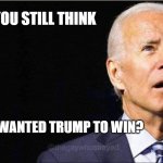 Russia wanted Biden | DO YOU STILL THINK; RUSSIA WANTED TRUMP TO WIN? | image tagged in joe biden | made w/ Imgflip meme maker