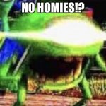 NO HOMEIS!?!??!?!???!?!!!!/1/1??!?!1/?!/!1/1 | NO HOMIES!? | image tagged in mike wazowski | made w/ Imgflip meme maker