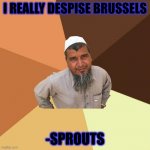 Ordinary Muslim Man Meme | I REALLY DESPISE BRUSSELS -SPROUTS | image tagged in memes,ordinary muslim man | made w/ Imgflip meme maker