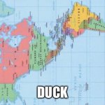 Duck meme