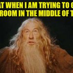 Cats Be Like... | MY CAT WHEN I AM TRYING TO GET TO THE BATHROOM IN THE MIDDLE OF THE NIGHT. | image tagged in gandalf | made w/ Imgflip meme maker