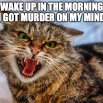 cat murder on his mind | WAKE UP IN THE MORNING I GOT MURDER ON MY MIND | image tagged in murder on my mind cat | made w/ Imgflip meme maker