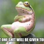 Not one shit | NOT ONE SHIT WILL BE GIVEN TODAY | image tagged in frog crossed arms | made w/ Imgflip meme maker