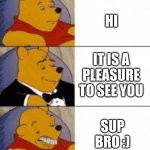 SuP BrO :) | HI; IT IS A PLEASURE TO SEE YOU; SUP BRO :) | image tagged in winnnie the pooh | made w/ Imgflip meme maker