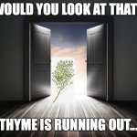 Thyme Is Running Out | WOULD YOU LOOK AT THAT? THYME IS RUNNING OUT... | image tagged in open door,thyme,pun | made w/ Imgflip meme maker