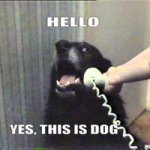 Hello, yes, this is dog