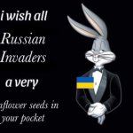 I wish all Russian invaders sunflower seeds in your pocket
