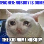 Sad cat | TEACHER: NOBODY IS DUMB; THE KID NAME NOBODY | image tagged in sad cat | made w/ Imgflip meme maker