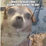 ALARM SONG DURING THE DAY | WHEN YOU HEAR YOUR ALARM SONG DURING THE DAY | image tagged in war flashback dog | made w/ Imgflip meme maker