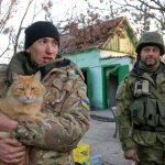 Ukrainian War Cat meme
