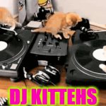DJ Kitty for all your party needs x3 - Imgflip