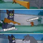 Malaria | PLASMODIUM; PLASMODIUM; Mosquito; Priyanko's; Mosquito | image tagged in tom and jerry plank | made w/ Imgflip meme maker
