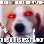 sussy dog | SO UR GOING TO DISLIKE MY VIDEOS? "UR SUCH SUSSY BAKA" | image tagged in sussy dog | made w/ Imgflip meme maker